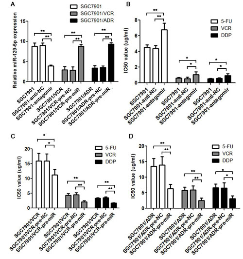 MiR-129-5p modulate multi-drug resistance in gastric cancer cell lines.