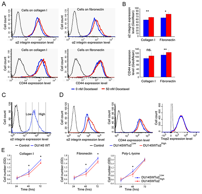 DU145 cells that survive docetaxel treatment show increased expression of stem cell markers: &#x03B1;2 integrin and CD44.