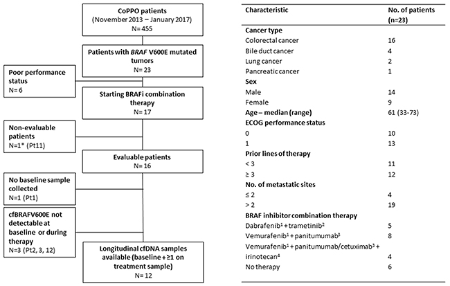 Study outline and baseline characteristics of patients with BRAF V600E mutated non-malignant melanoma tumors.