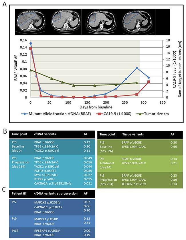 Monitoring tumor response and MAPK-related mutations in response to BRAFi combination therapy.