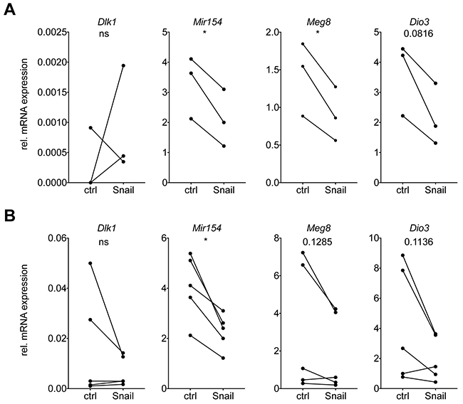 Snail mediates Dlk1-Dio3 locus repression in immune cells via the secretion of a soluble factor.