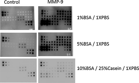 RPPA detection system tested with different blocking buffers.