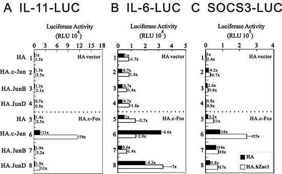 Effect of cross-talk between Zac1 and AP1 on the promoter activities of IL-11, IL-6 and SOCS3.