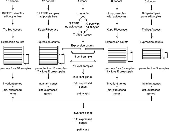 Overview of samples, RNA-Seq and data quality control.