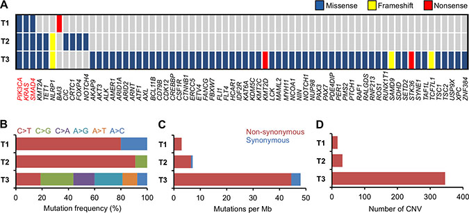 Summary of somatic alterations in treatment-na&#x00EF;ve and recurrent tumors.