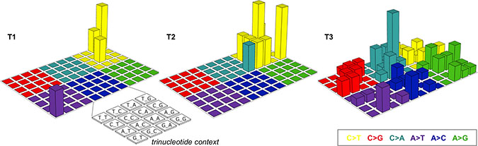 Lego plots of mutational patterns in a three-base context.