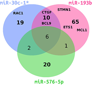 Venn diagram of differentially downregulated genes in miRNA-transfected A375 cells.