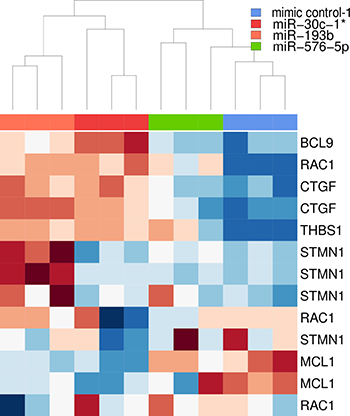 Heatmap based on downregulated genes selected for further analysis.
