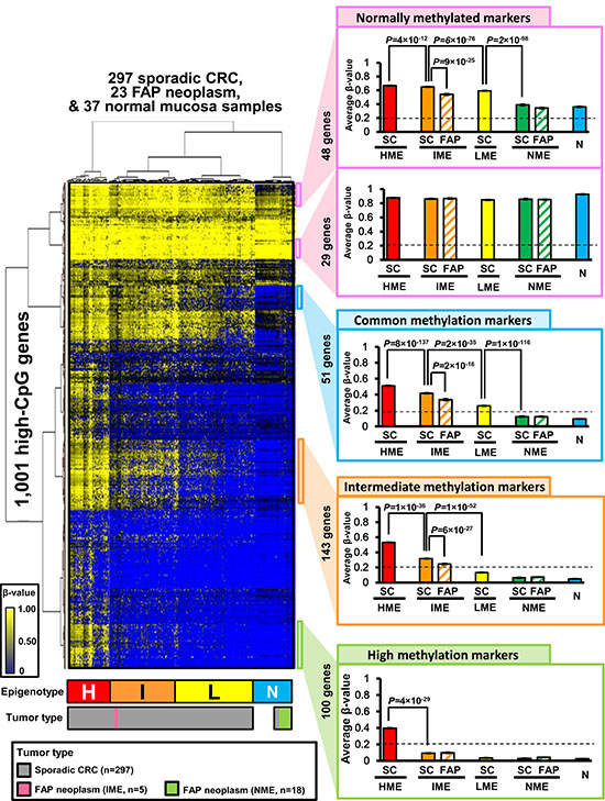 Hierarchical clustering analysis of FAP neoplasms, sporadic CRC, and normal mucosa samples.