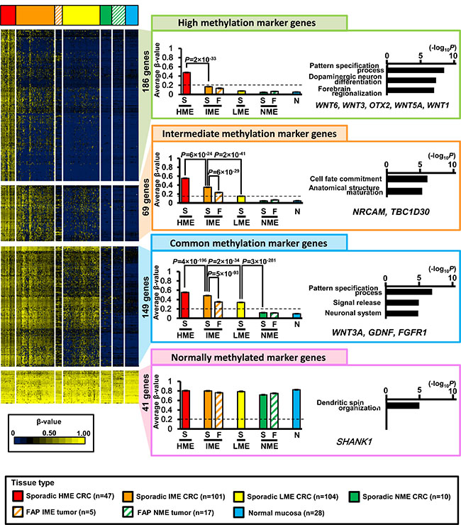 Extraction of marker genes.