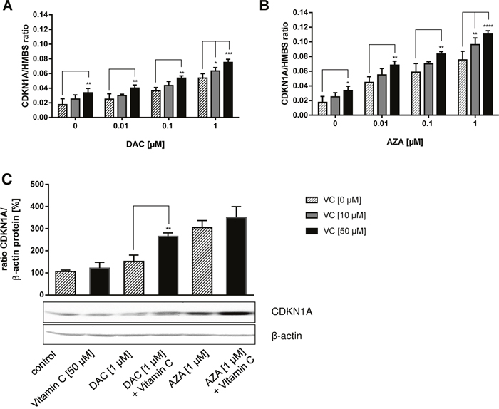 Reactivation of CDKN1A (p21) tumour suppressor on mRNA and protein level by DAC, AZA and vitamin C in colon cancer cells.
