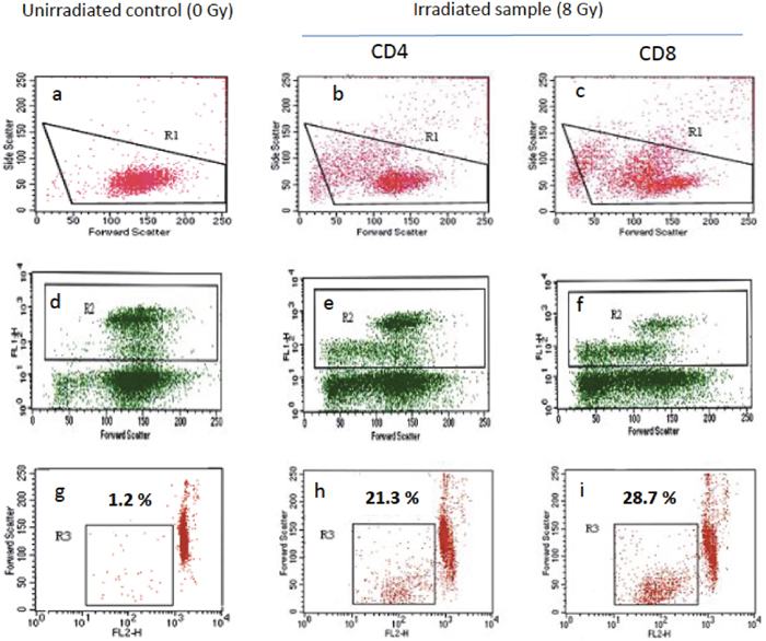 Radiation-induced lymphocyte apoptosis (RILA) flow cytometry profile.