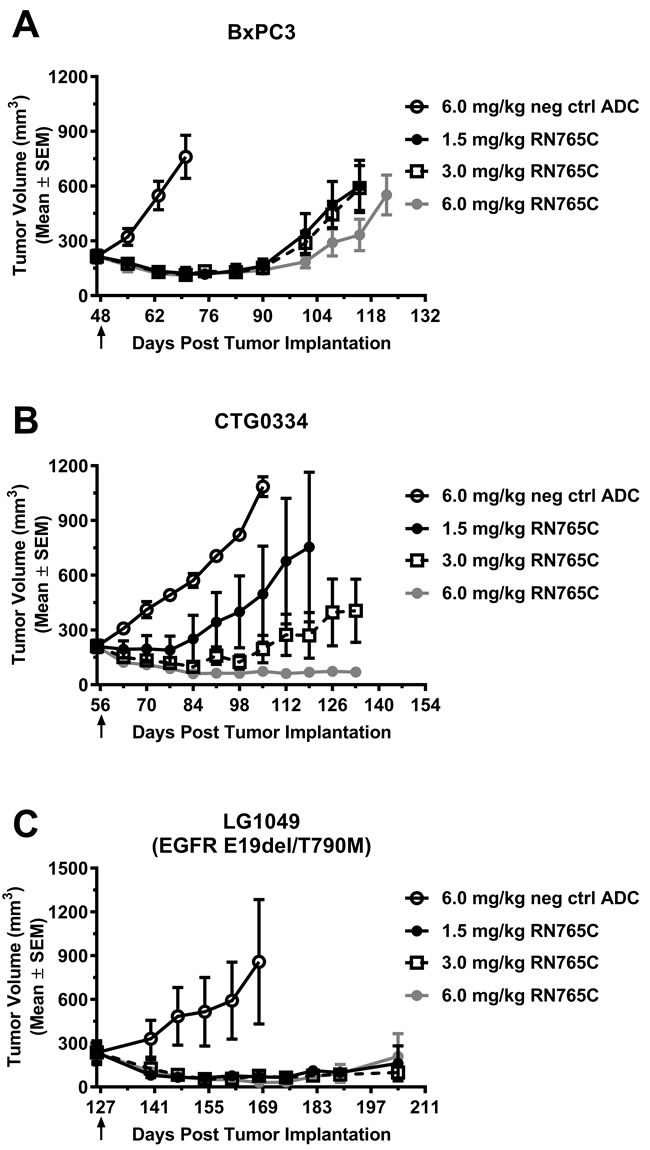 A single dose of RN765C is efficacious in multiple xenograft models.