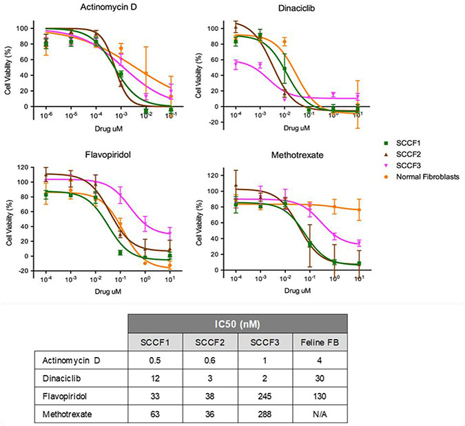 Dose response curves of SCCF1, SCCF2, and SCCF3 cell lines as well as normal feline fibroblasts when treated with actinomycin D, dinaciclib, flavopiridol, and methotrexate.