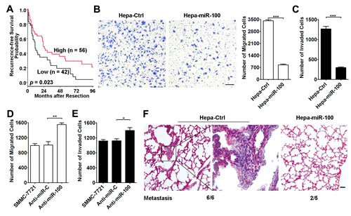 miR-100 inhibits metastasis of HCC cells.