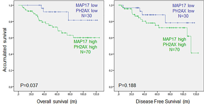 Combined MAP17 and phosphorylation of &#x03B3;H2AX (p-H2AX) analysis of survival in rectal tumors after concurrent chemoradiotherapy.