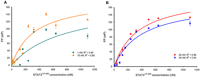 FP versus STAT3127-688 concentration-response curves for varying concentrations of the Bodipy-DNA conjugate.