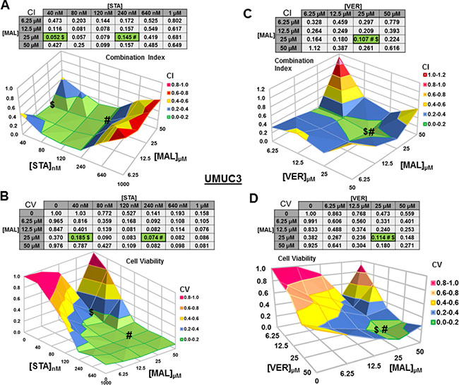 Combinations of HSP70 and HSP90 inhibitors synergistically reduce UMUC3 cell viability.