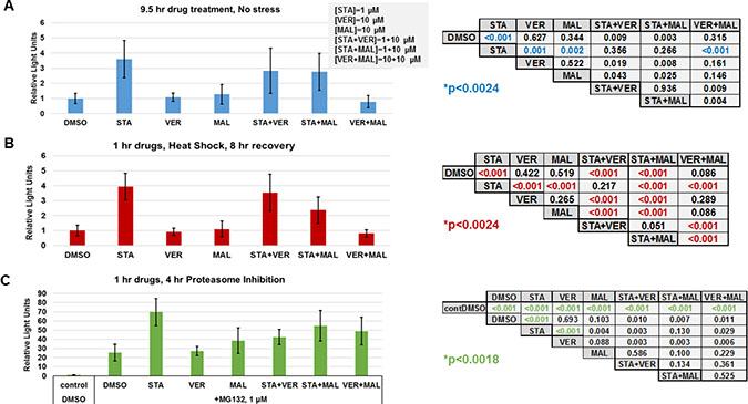 HSP70 inhibitors do not increase the heat shock response.