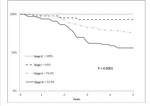 Cumulative survival (y axis) and overall survival (x axis) evaluated according to Kaplan-Meier statistical analysis and pathological stage in T3 low/middle rectal cancer patients treated with