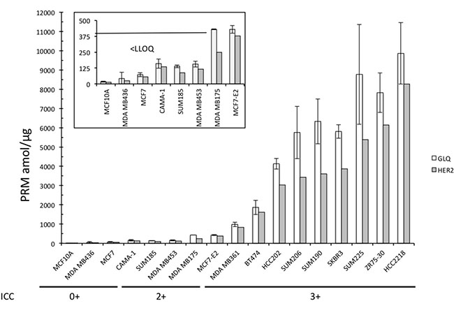 Absolute quantification of GLQSLPTHDPSPLQR and the pooled HER2 peptides of the 17 BCLs.