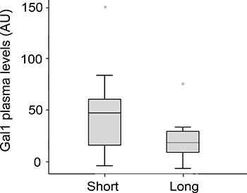 Gal-1 plasma levels in PDA patients displaying short-(&#x003C;6 months) or long-term survival (&#x2265;6 months).