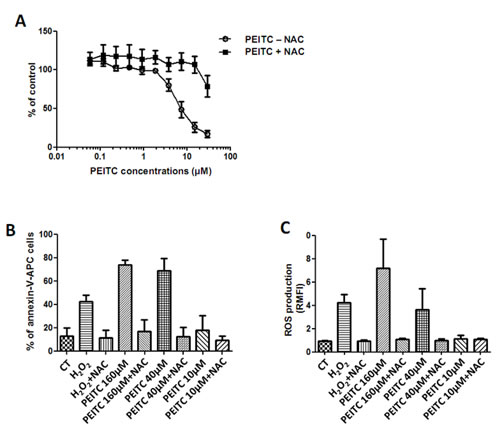 Effect of PEITC on MPM cell lines.