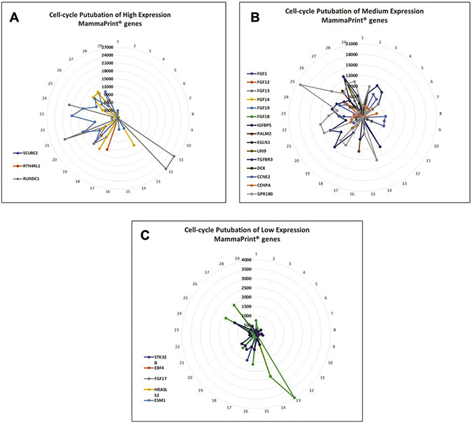 Perturbation of MammaPrint&#x00AE; genes during cell cycle suggests that many MammaPrint&#x00AE; genes are cell cycle regulators.