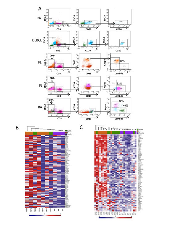 Determination of expression of autophagy related genes in purified and unpurified FL and DLBCL samples.