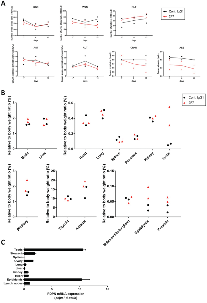 Evaluation of toxicity of anti-podoplanin neutralizing antibodies in Macaca fascicularis.