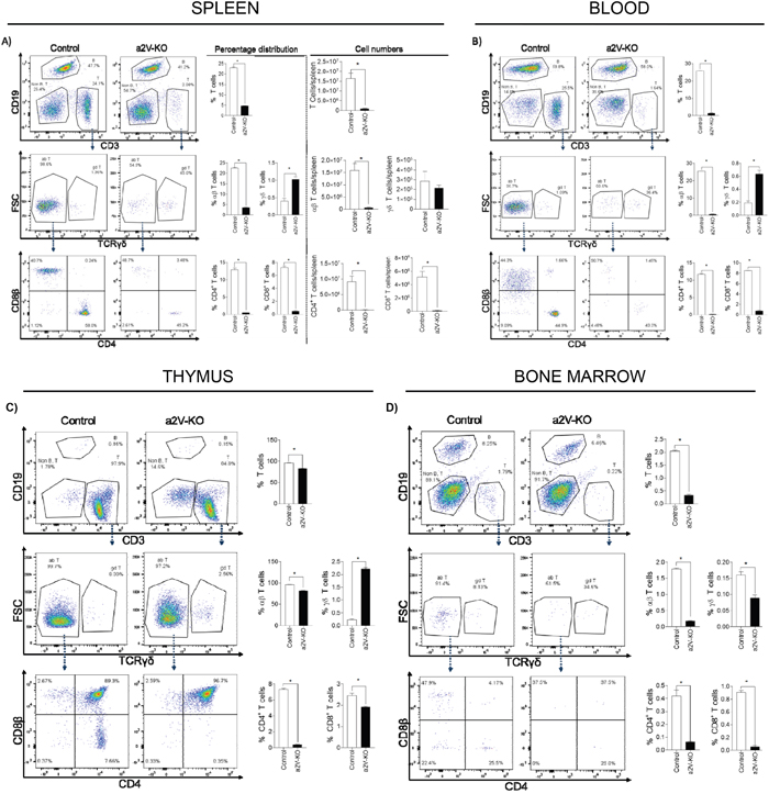 Deletion of a2V in hematopoietic cells results in reduced population of &#x03B1;&#x03B2; T cells.