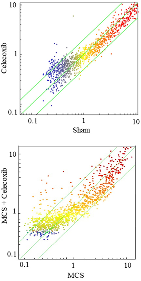 SPAs comparing the expression of 1,135 pulmonary miRNAs either in sham-exposed mice vs. mice receiving celecoxib with the diet for 6 weeks, starting after weanling (upper panel), or in mice exposed to MCS during the first 10 weeks of life, in the absence of celecoxib, vs. MCS-exposed mice receiving celecoxib (bottom panel).