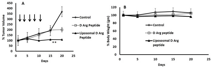 PEGylated Liposomal Encapsulation of the D- Arg Peptide inhibited growth of DU145 xenografts in mice.