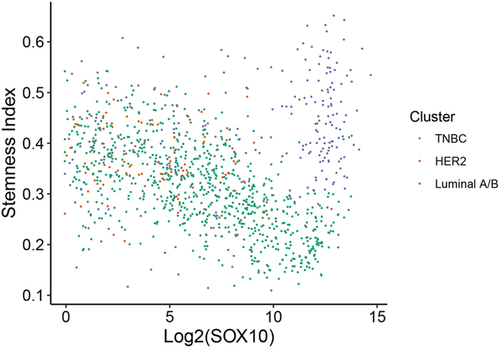 SOX10 expression correlates with a more basal/stem-like phenotype in TNBC.