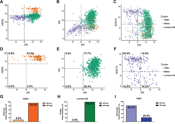 Androgen Receptor is expression is highest in the HER2-positive and Luminal A/B subtypes.