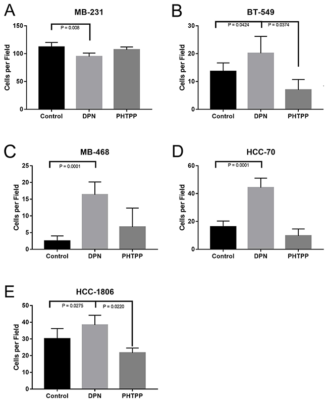 Activation of ER&beta; increases invasion of TNBC cells.