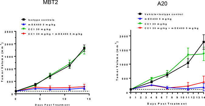 The effect of CC1 in alone and combination with the anti-PD-1 antibody (muDX400) in subcutaneous MBT2 (bladder) and A20 (B cell lymphoma) syngeneic mouse models.
