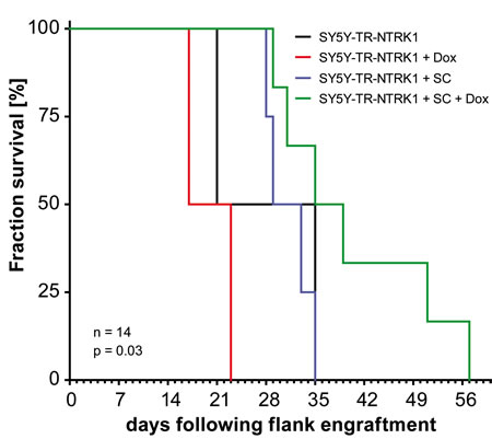 Schwann cells reduce proliferation of NTRK1-expresing neuroblastoma cells