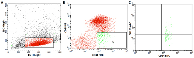 Flow cytometric detection of leukemic stem cells and their expression of CD123.