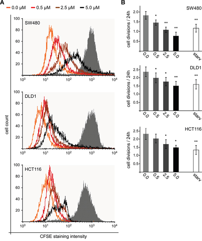 SFN inhibits proliferation of colorectal cancer cells.