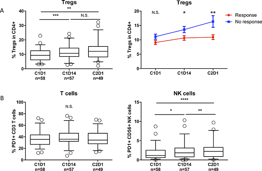 REP treatment causes an increase in regulatory T-cells and increased PD-1 expression on NK-cells.