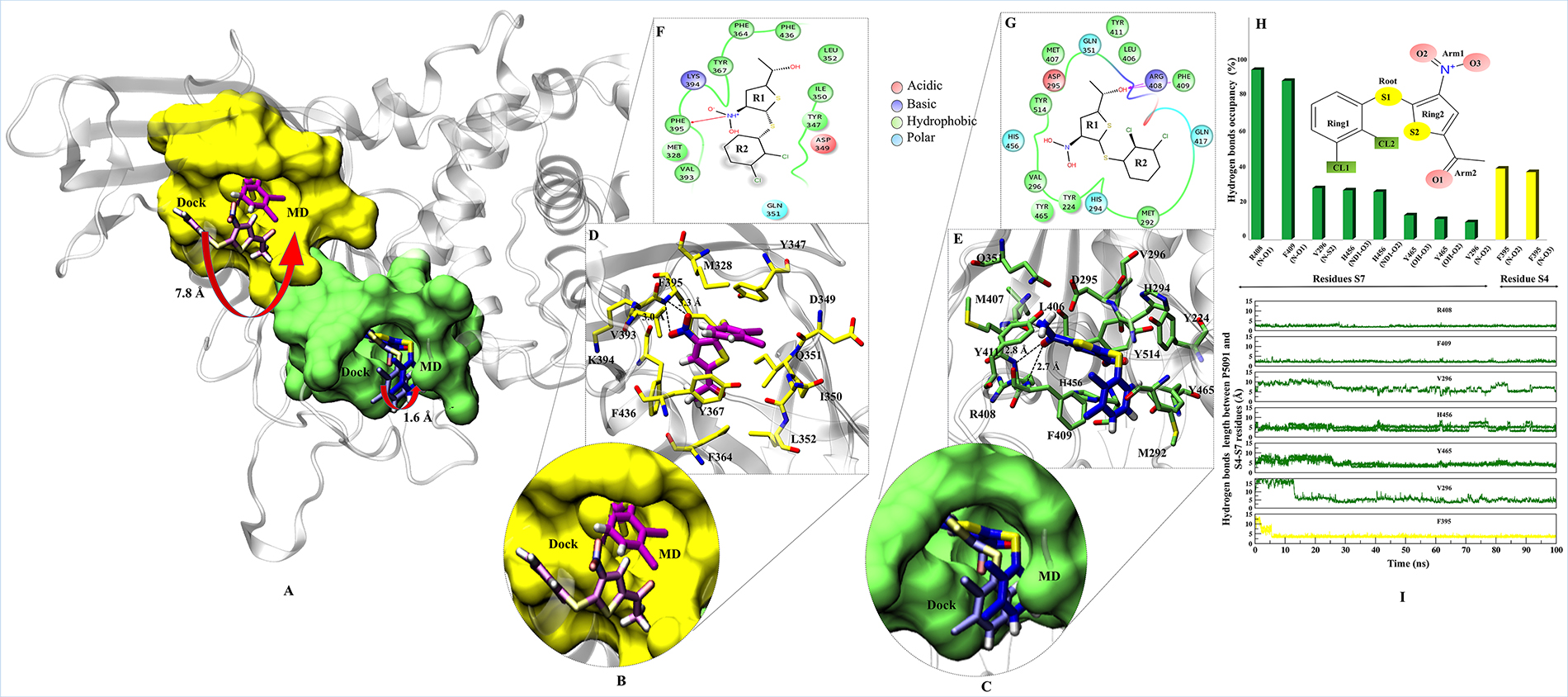 Binding modes and interaction map of P5091 at two most potential sites.