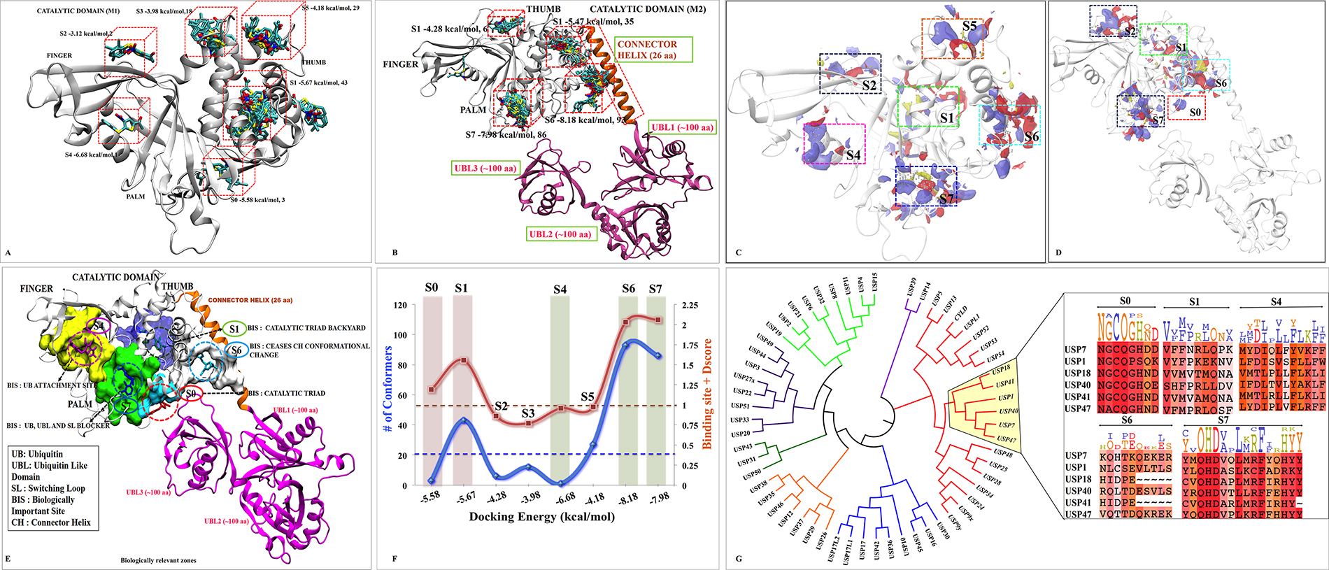 Possible binding sites and poses found by docking and SiteMap correlating with biological significance of each site.