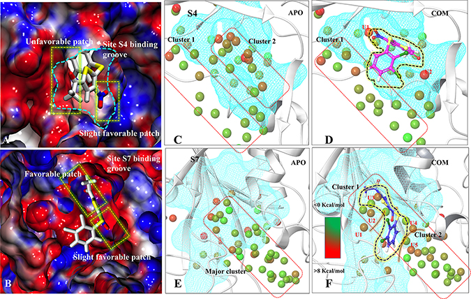 Characterization of binding sites via electrostatic potential calculations and water-map analysis.