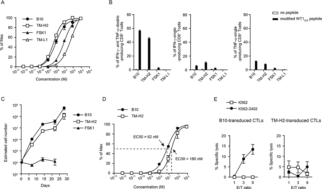 Correlation between TCR functional avidity and effector functions in the TCR-transduced CD8+ T cells.