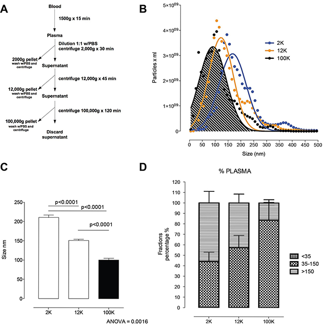 Circulating nanoparticle fractions recovered in successive differential ultracentrifugation pellets.