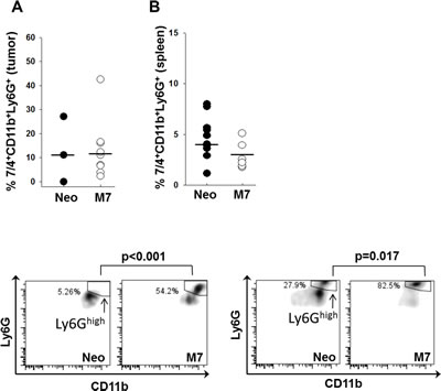 Characterization of neutrophils.