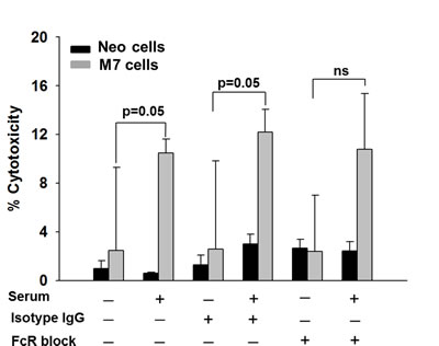 Figure 5: