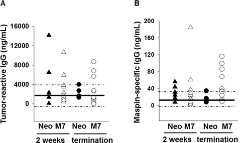 Quantification of tumor-reactive and maspin-specific IgG.