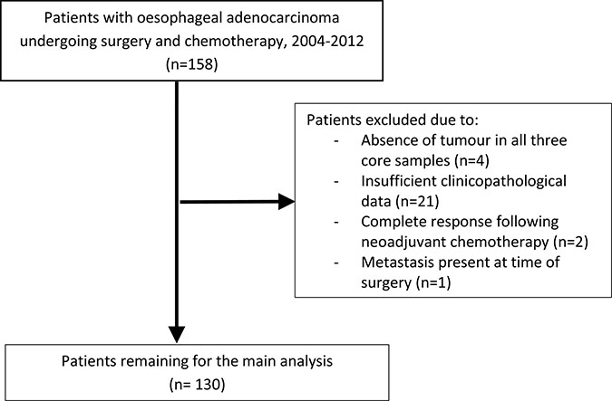 Flow chart demonstrating reasons for patient exclusion from study.